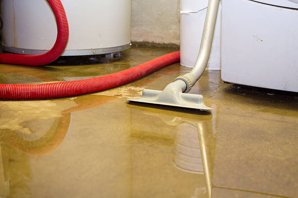 Best Flood restoration services  in Harvey, ND
