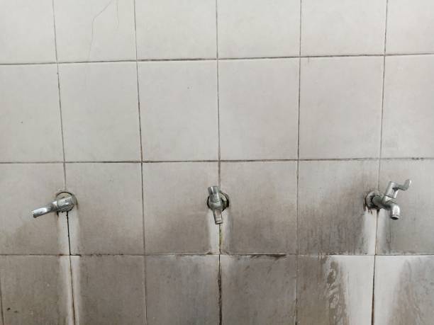 Best 24/7 water damage repair  in Harvey, ND